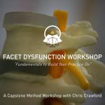 Facet Dysfunction Seminar - Manual Therapy Workshop